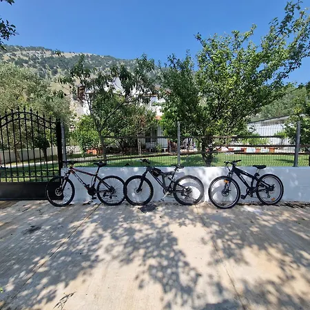 Soleil * Baks-Rrjoll