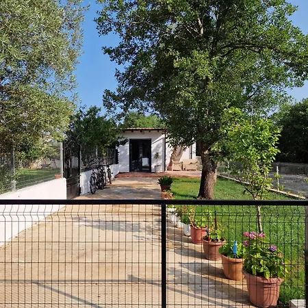 Soleil * Baks-Rrjoll