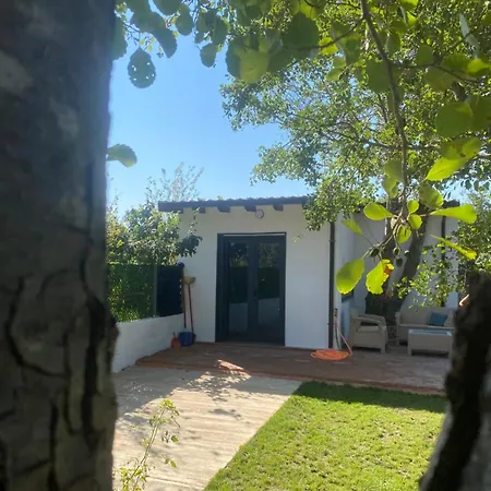 Soleil * Baks-Rrjoll