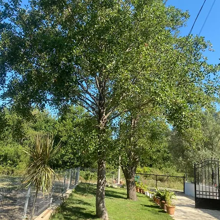 Soleil * Baks-Rrjoll