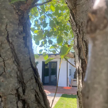 Lägenhet Soleil Baks-Rrjoll