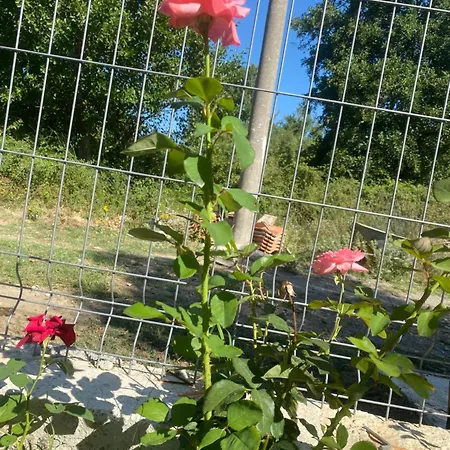 Soleil Апартаменты