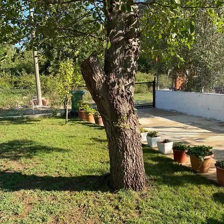 Soleil * Baks-Rrjoll